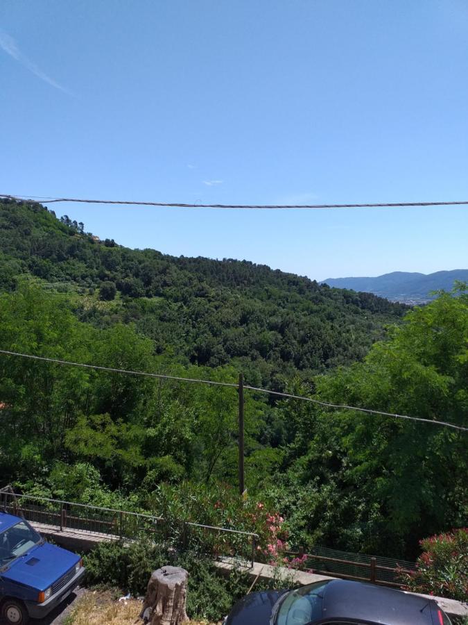 Villa Casa Di Vecchio Borgo Sarzana Exterior foto