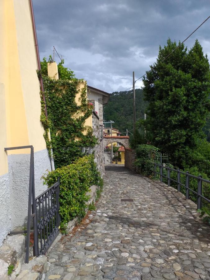 Villa Casa Di Vecchio Borgo Sarzana Exterior foto